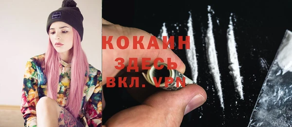 соль ск Абаза