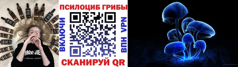 сколько стоит  Аргун  нарко площадка наркотические препараты  Псилоцибиновые грибы Magic Shrooms 
